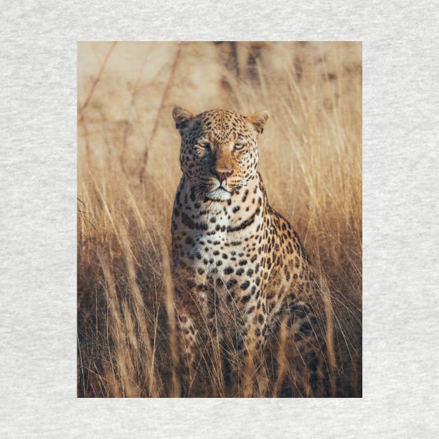 African Leopard by withluke